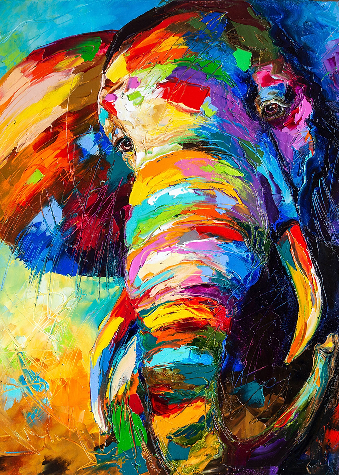 Young elephant