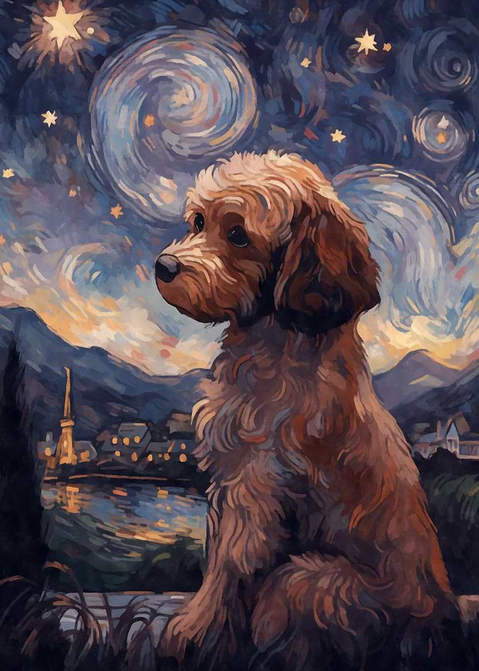 Cavoodle Starry Night