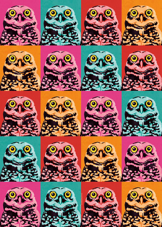 Marilyn Owlroe