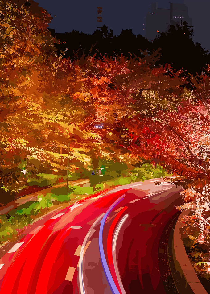 Tokyo Roods