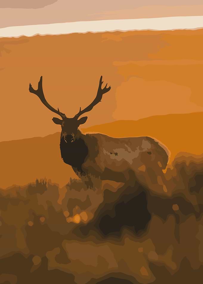reindeer artwork