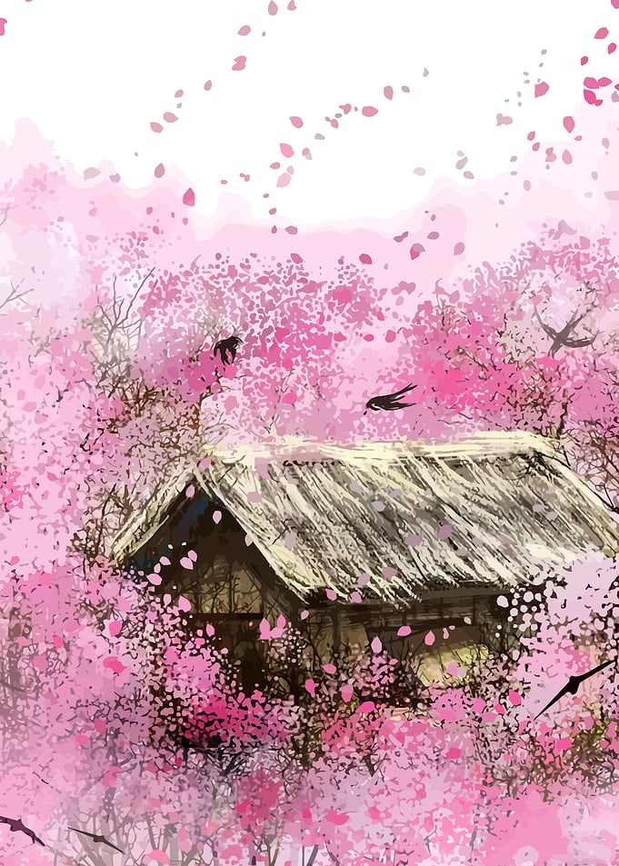 Japanese Sakura