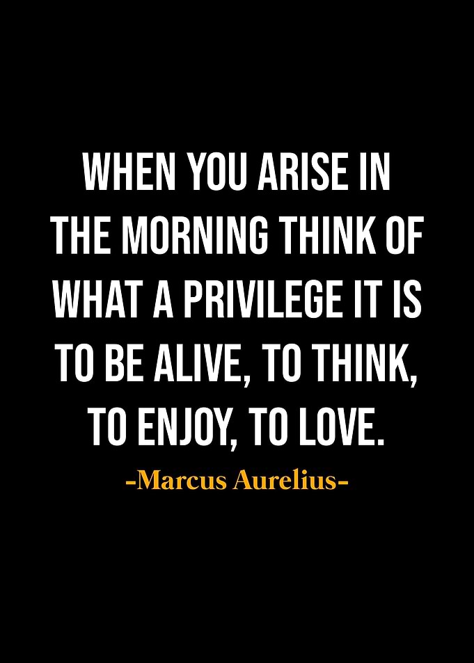 Marcus Aurelius Quotes