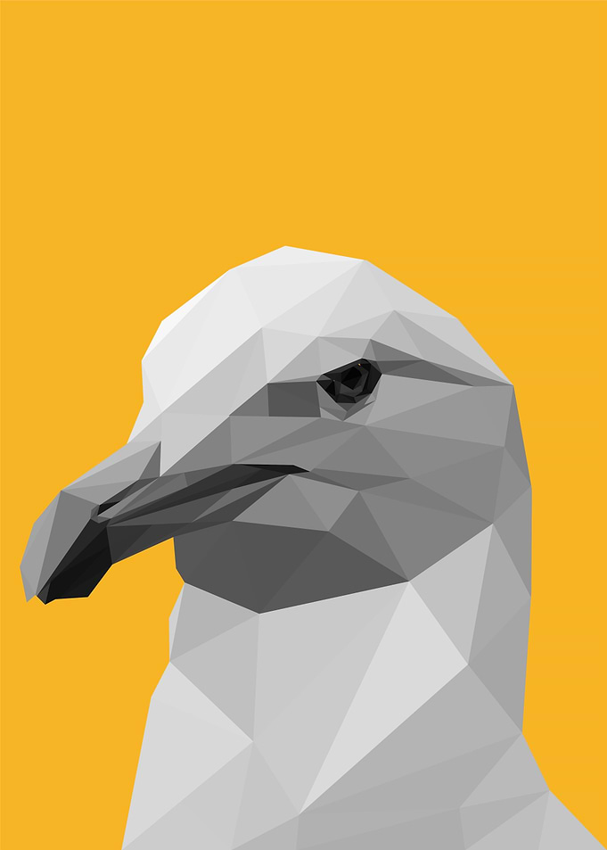not happened seagul meme
