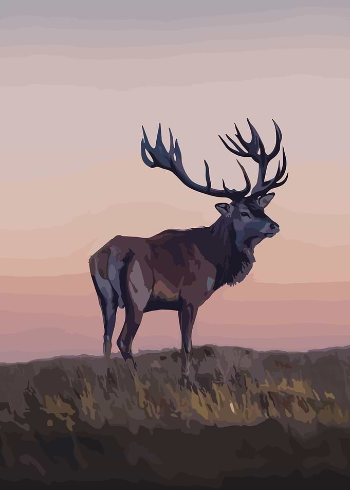 reindeer artwork