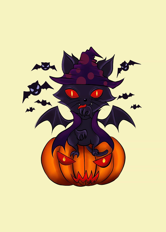 halloween cat pumpkin