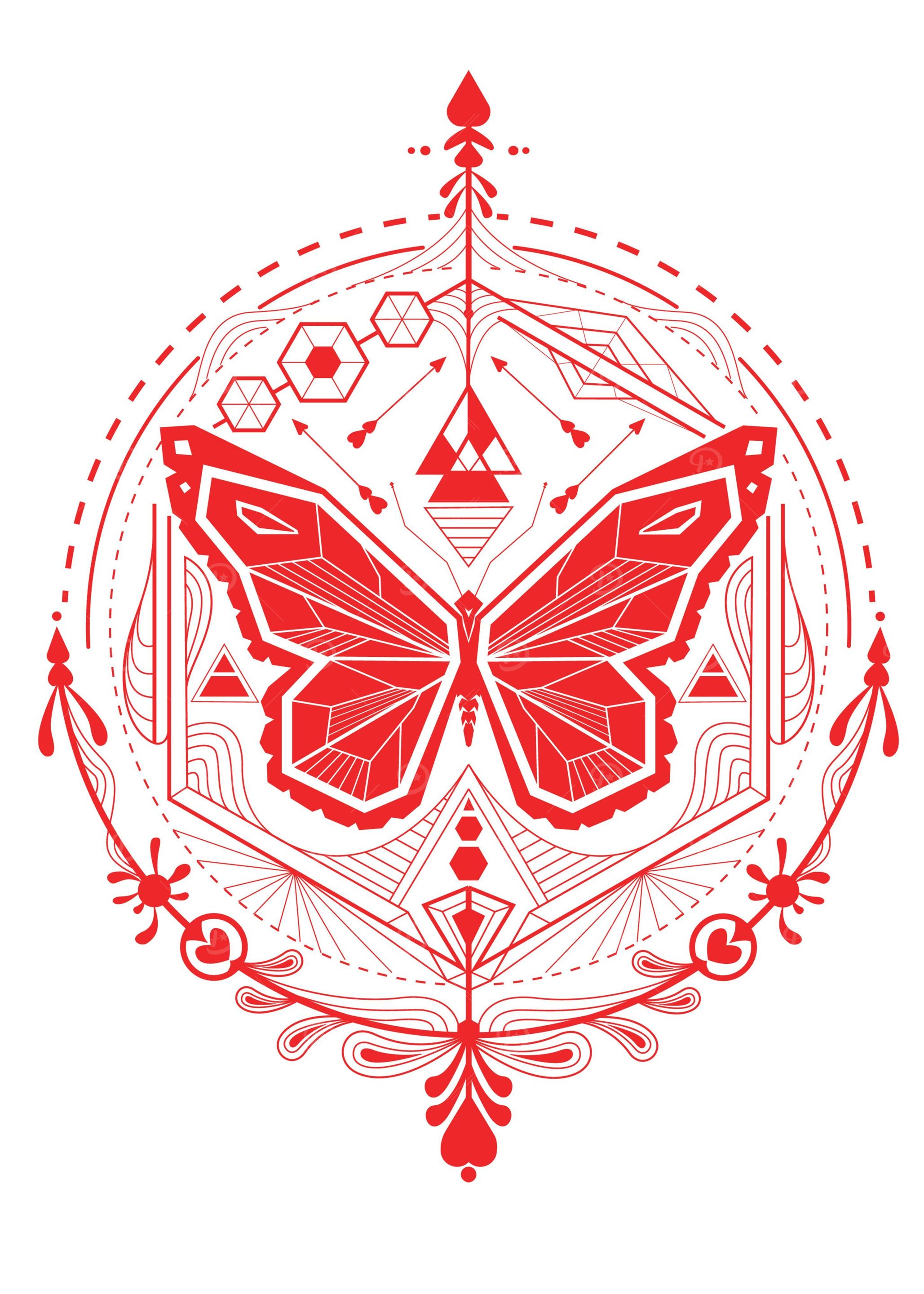 Wings of Geometry