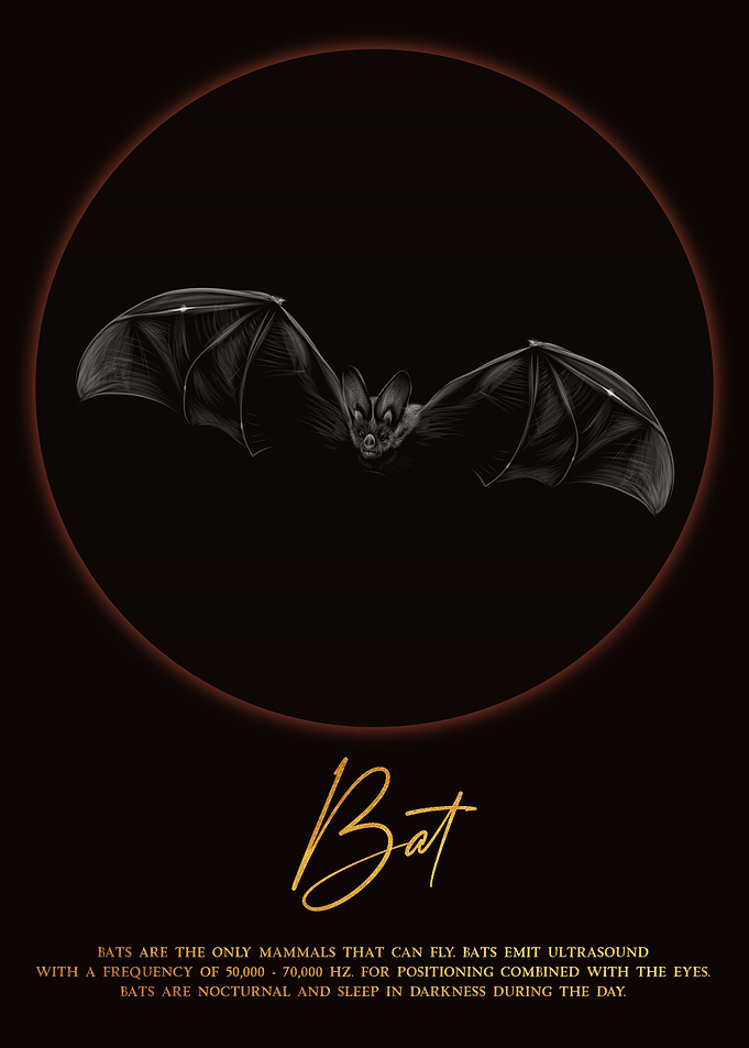 Bat