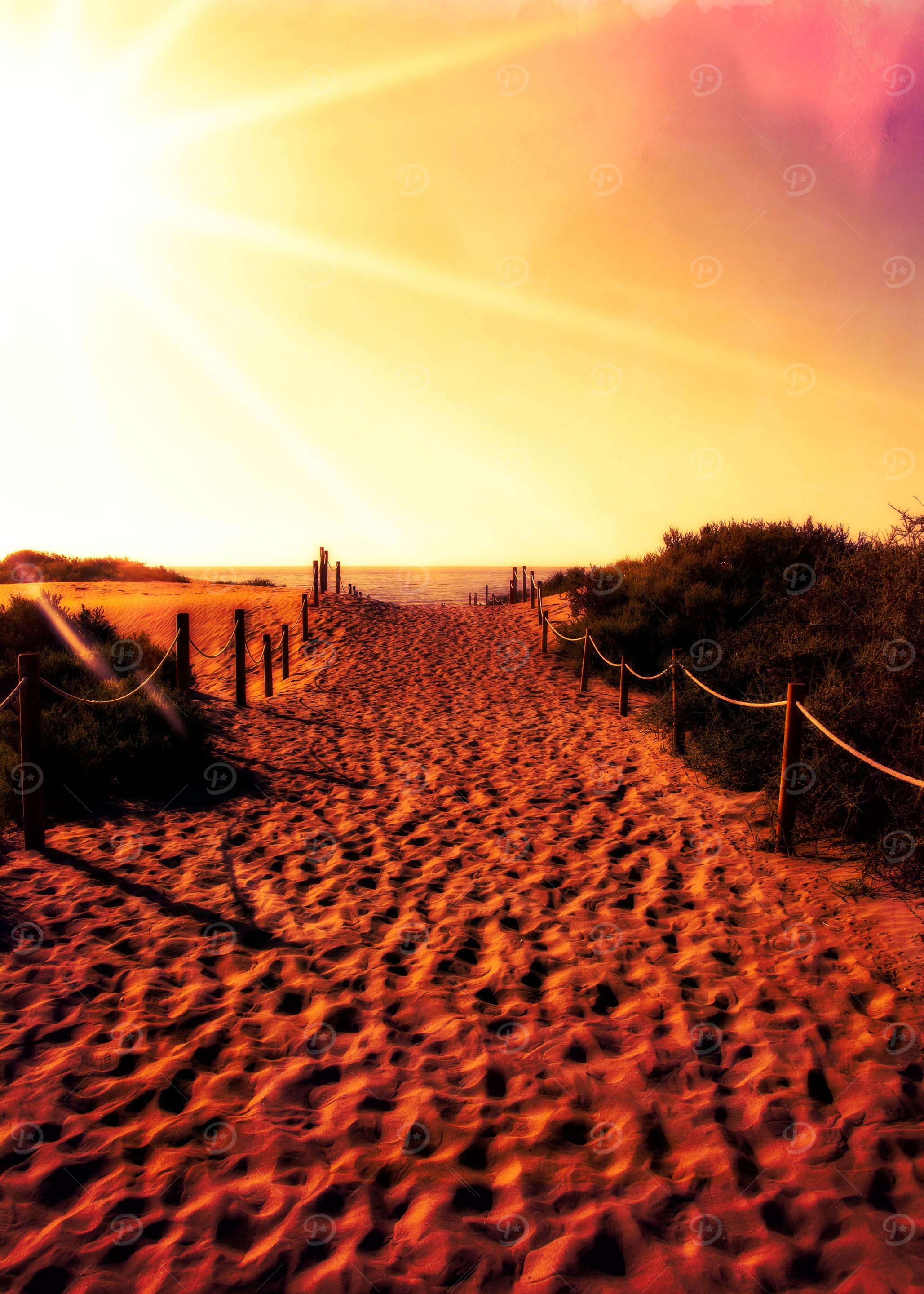 A path to the sea