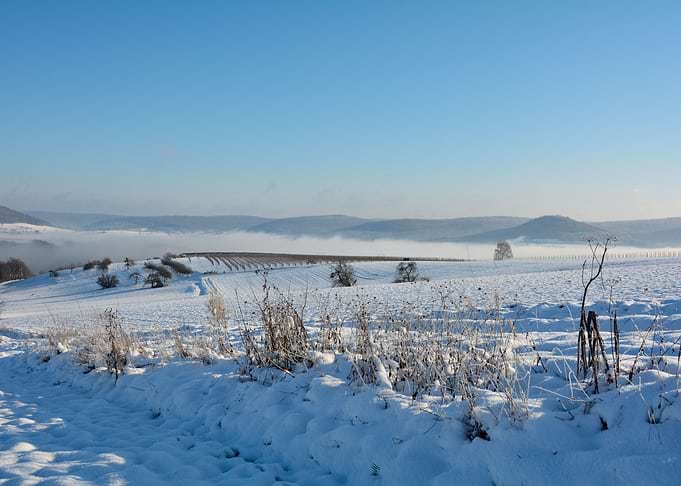 A winter morning