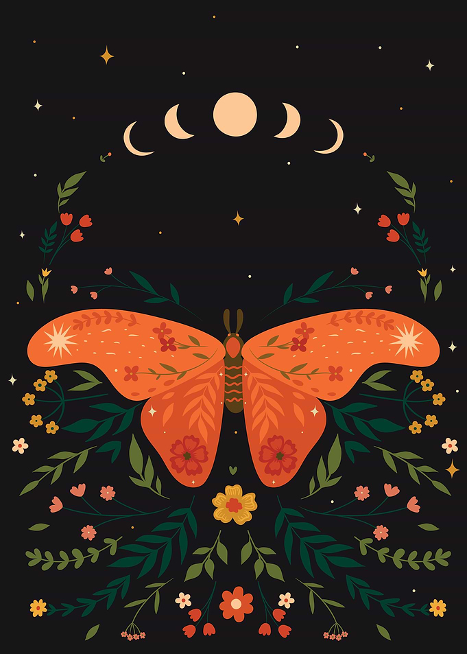 Phases Moon Butterfly