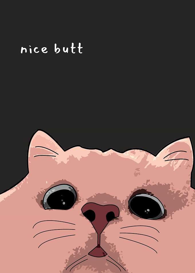 Cat’s Compliment