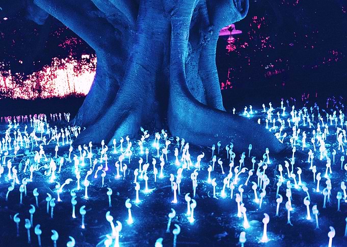 Tree Light Cyberpunk