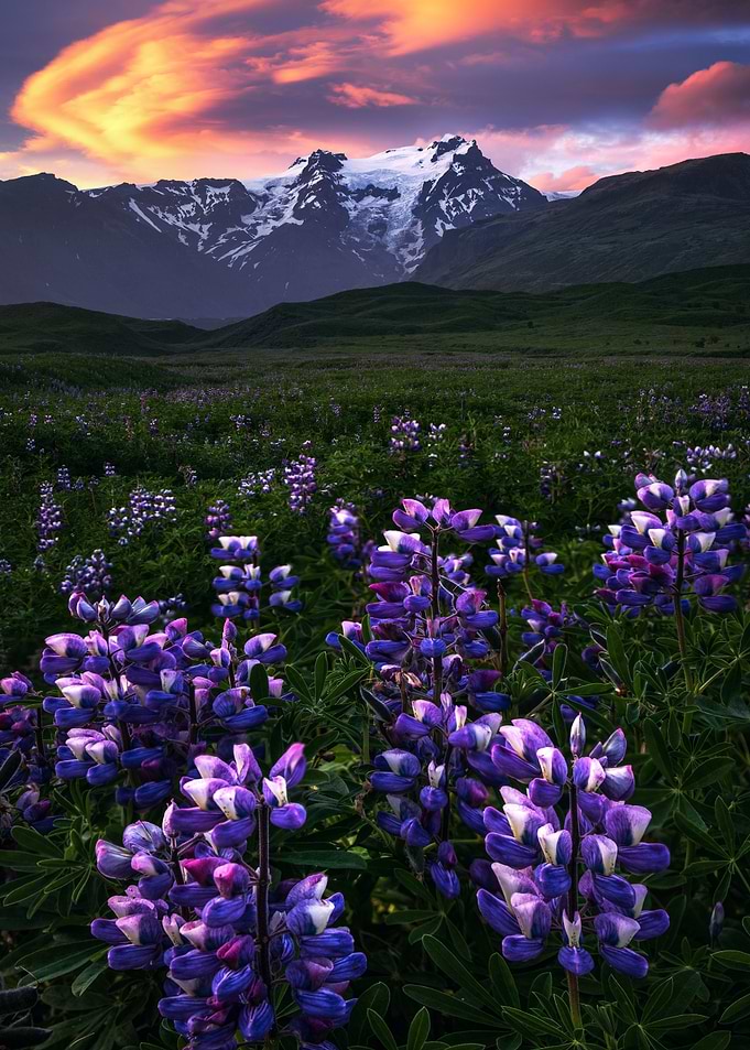 Summer Sunset in Iceland