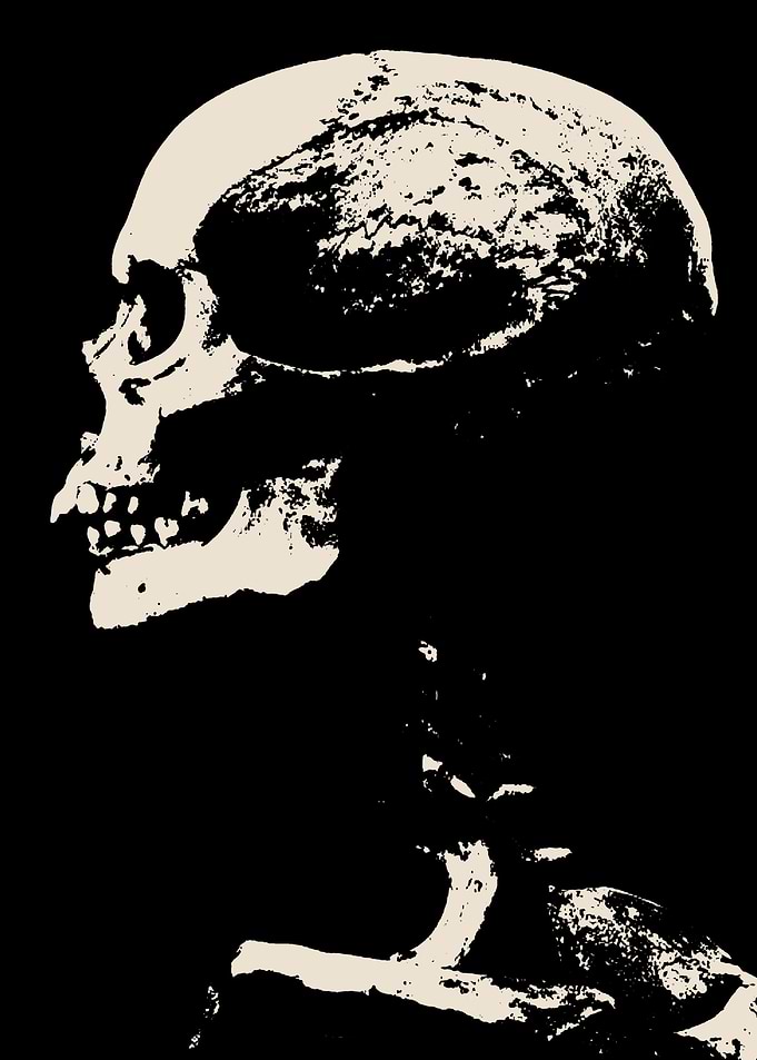 Skull