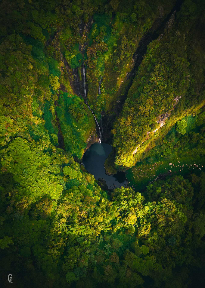 Secret Tropical Sanctuary