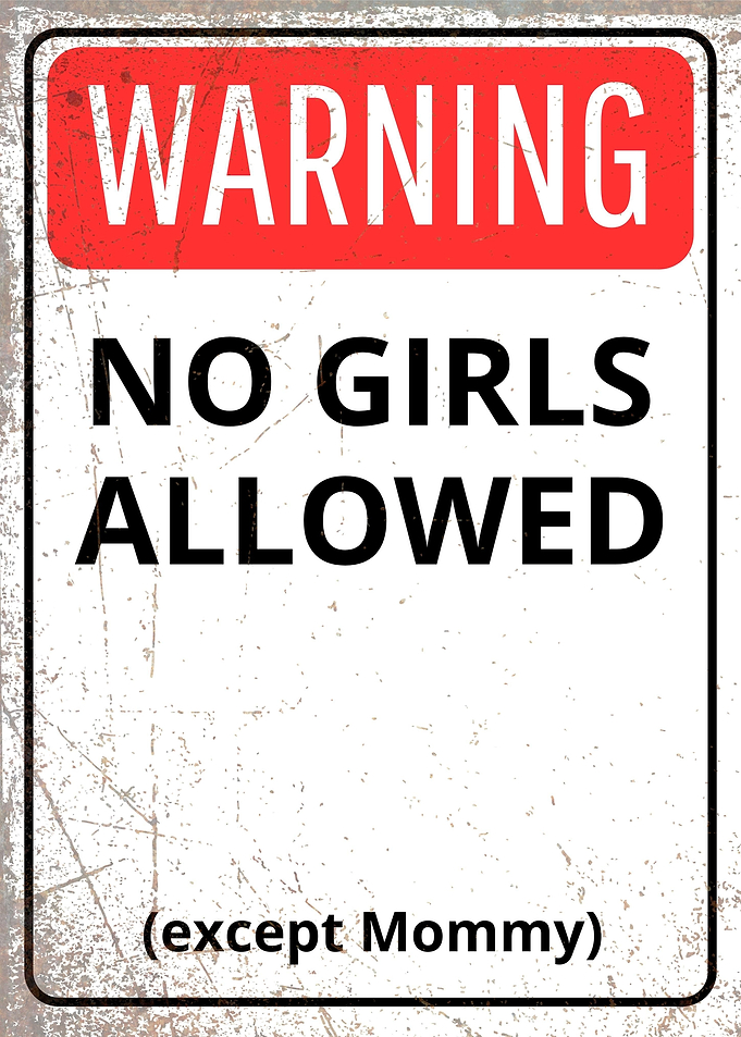 Warning No Girls Allowed