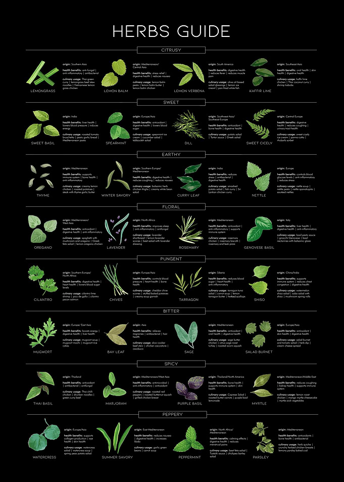 Essential Herbs Guide