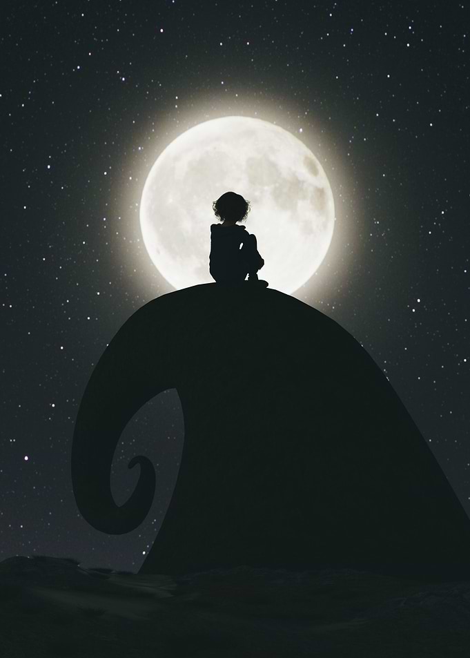Alone Boy