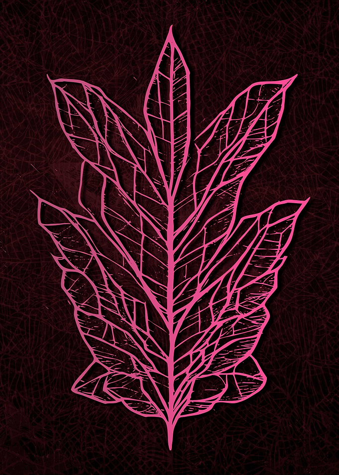 Abstract Strange Leaves