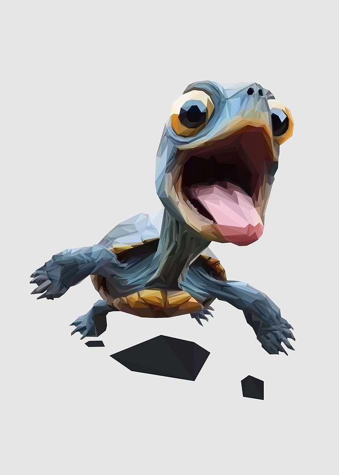 Little Turtle