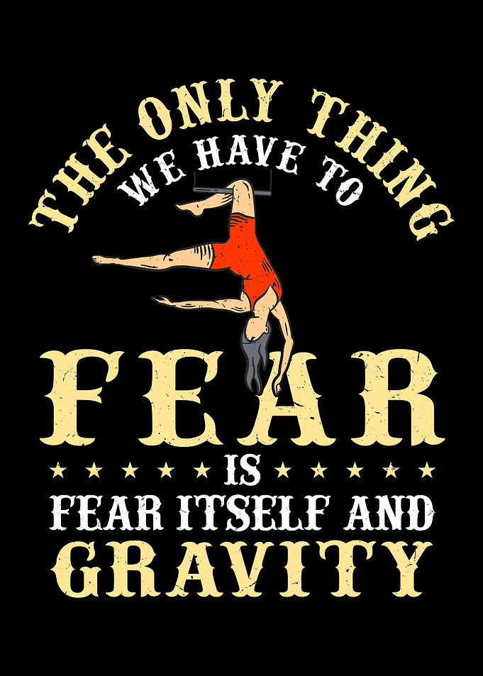 Circus Aerial Silks
