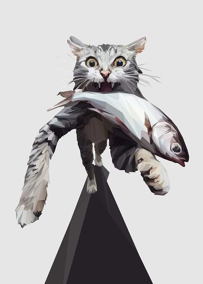 cat carrying fish