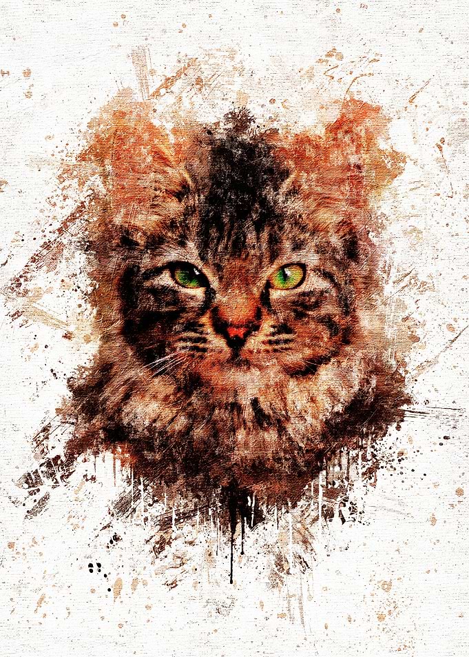 Cat Painting