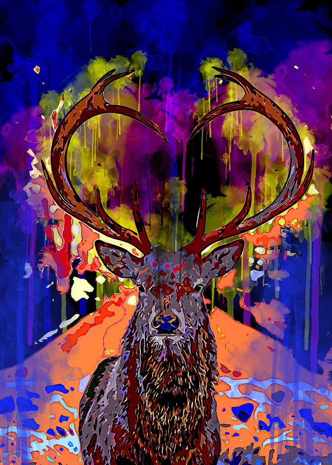 Deer Animals 4
