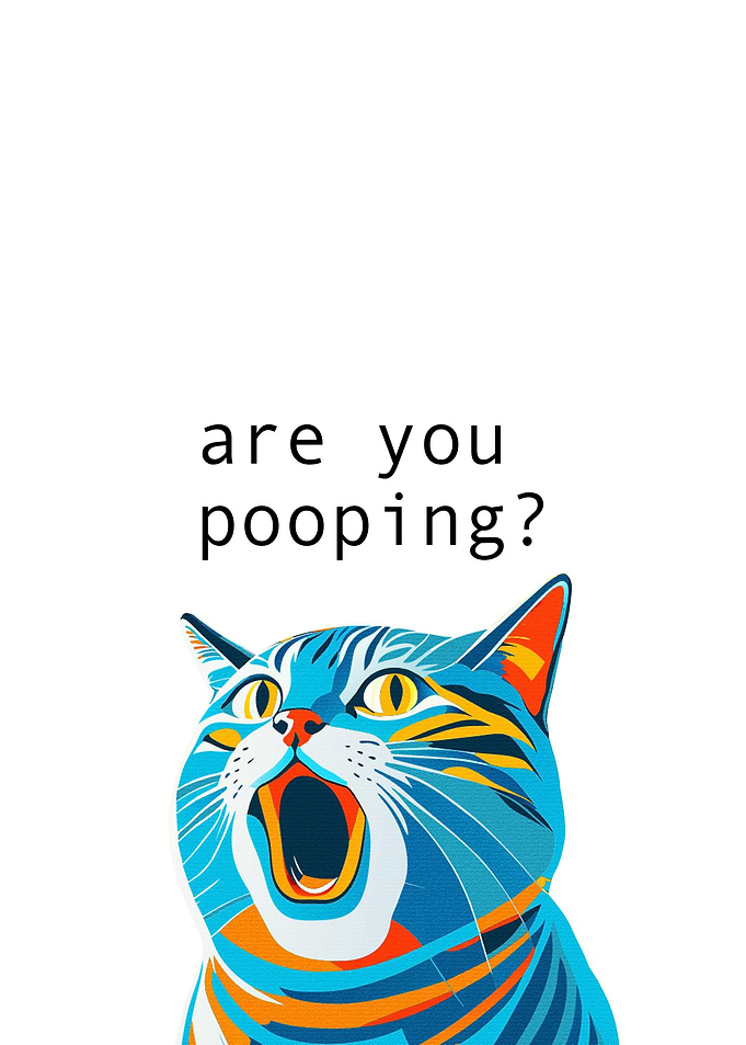 Funny Cat