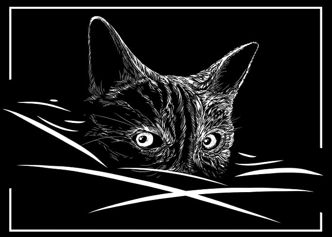 Line drawing hidden cat