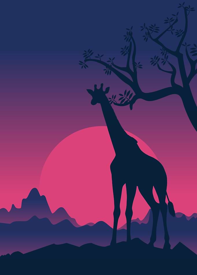 Giraffe Illustration