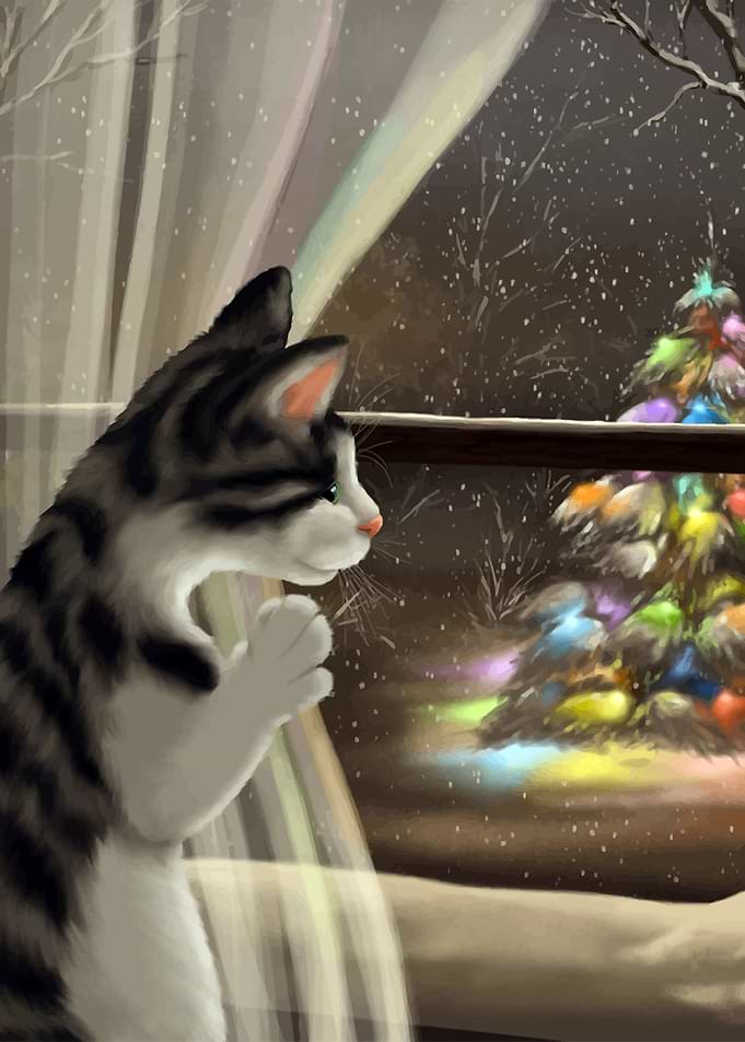 It is Christmas time