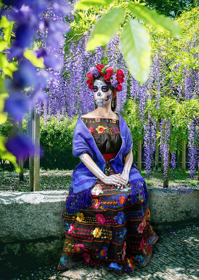 Wisteria garden