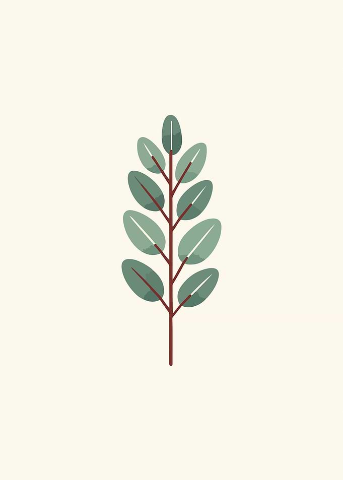 Leaf Illustration