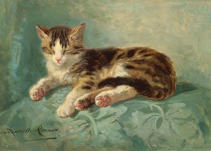 Cat Nap