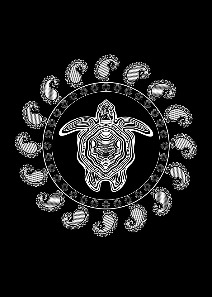Turtle Tortoise Picture