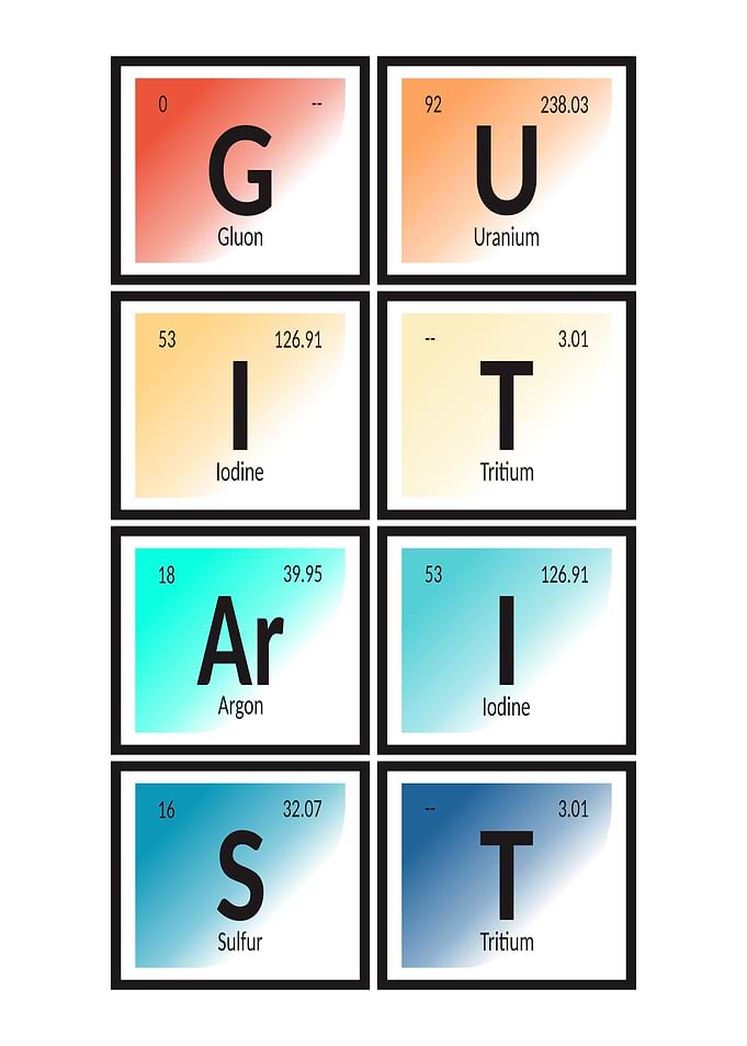 Guitarist