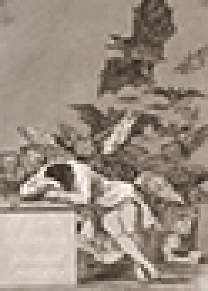 The Sleep Produces Pixels