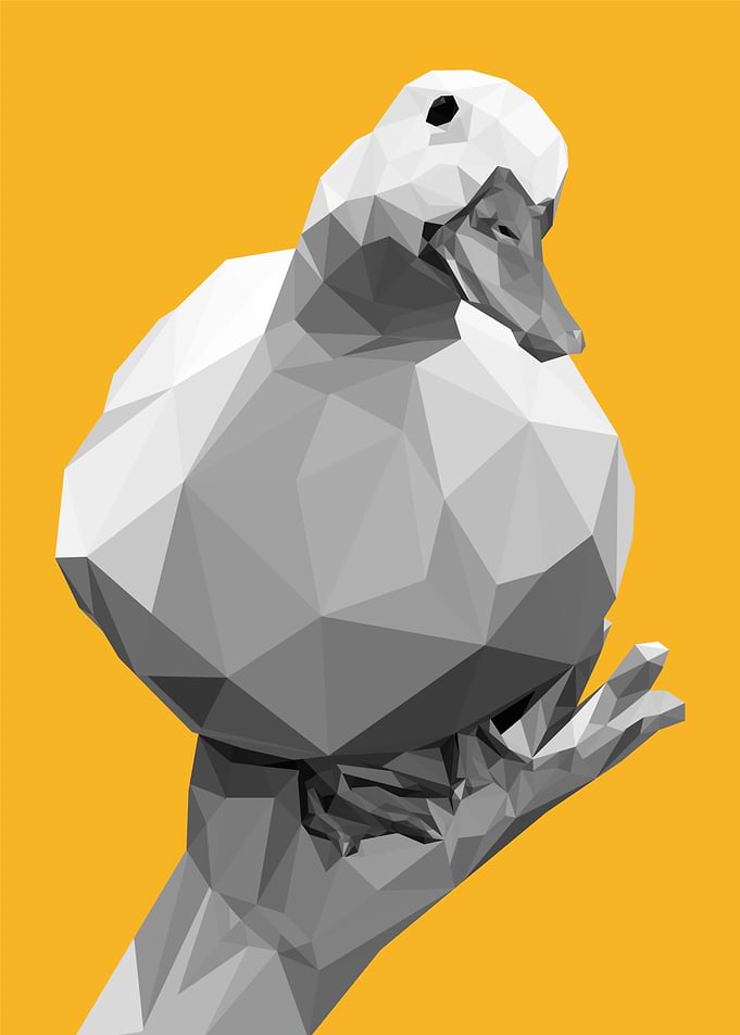 sway duck on palm