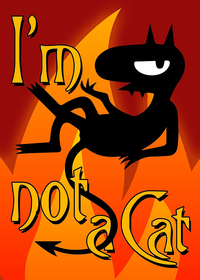 I am not a Cat