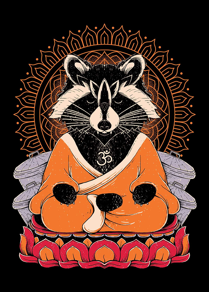 Raccoon Namaste