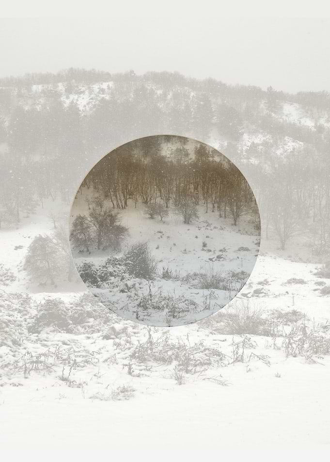 Snowy winter forest
