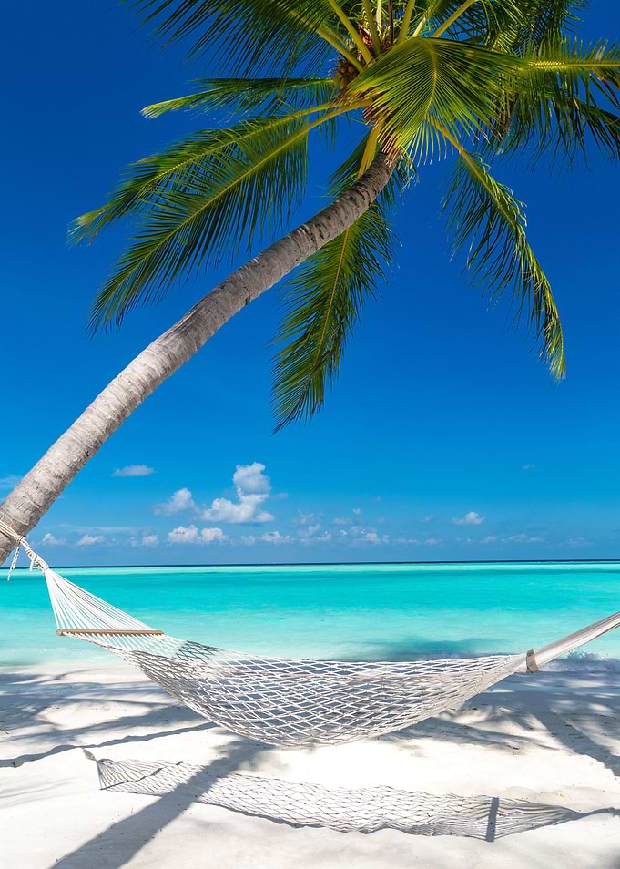 hammock on the beach