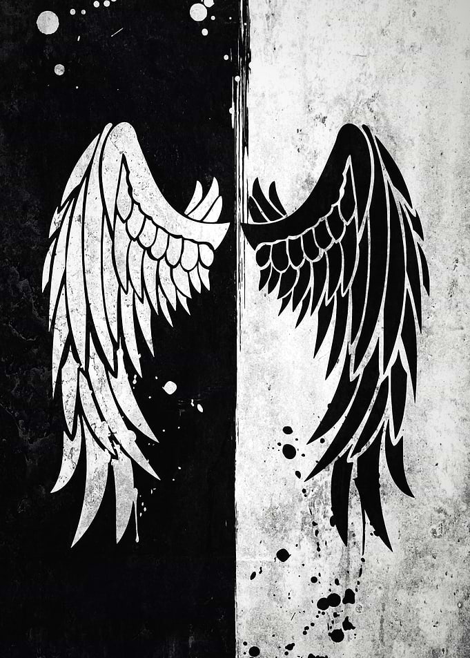 Wings Yin yang