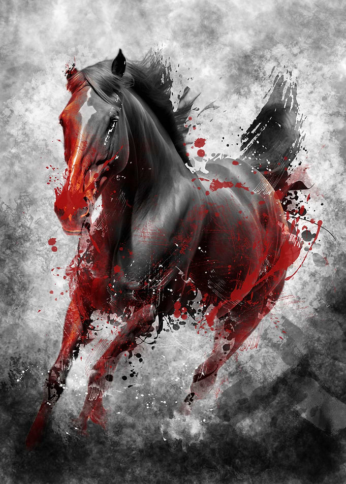horse 1