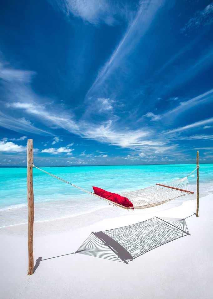 dreamy Beach Hammock
