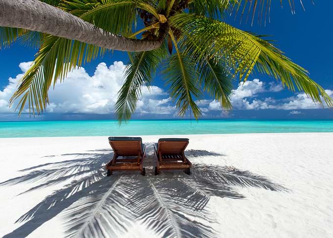 Tropical Beach dreams