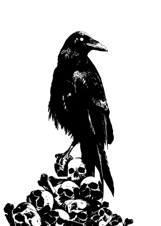 skull and bird