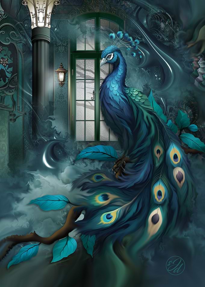Window to a Dream